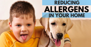 reduce allergens in your home with indoor air quality solutions from air systems
