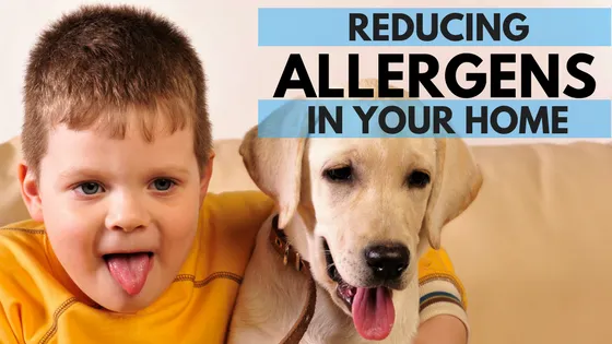 HVAC Blog 5 Reducing Allergens In Your Home - Air Systems Inc